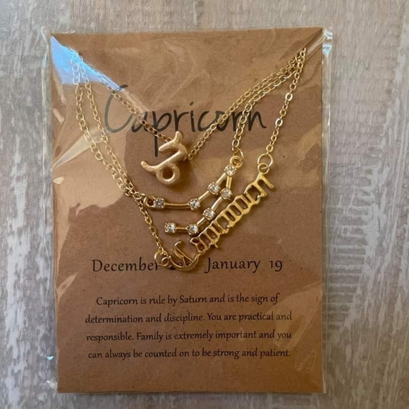 New Capricorn Zodiac Sign Necklace - Picture 3 of 5